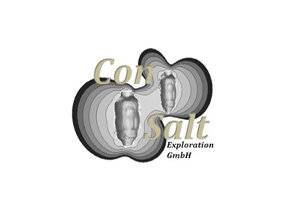 ConSalt GmBH